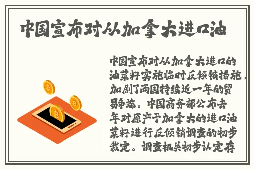 撕裂BBOX入门头交
